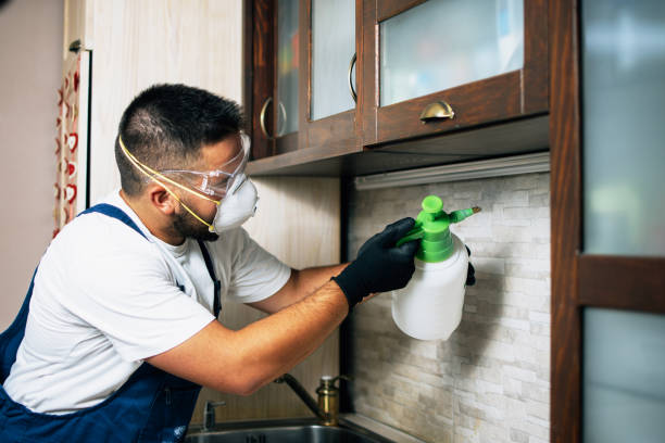 Best Cockroach Control Services  in Tyrone, GA