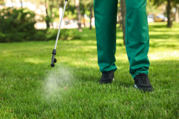Flea Control Services in Tyrone, GA
