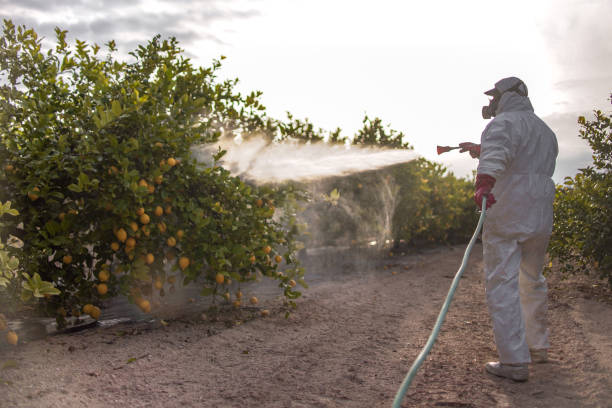 Best Mosquito Control Services  in Tyrone, GA