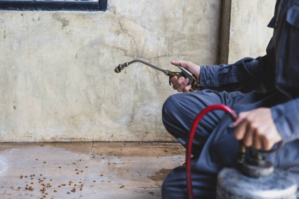 Best Pest Control Near Me  in Tyrone, GA